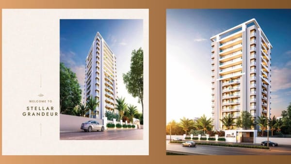 Featured image of Stellar Grandeur