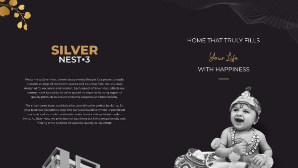 Featured image of Silver Nest 3
