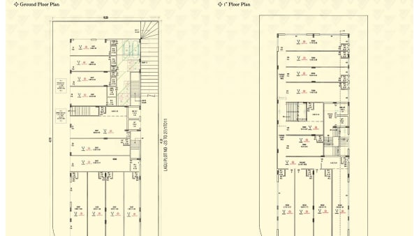 Featured image of Viral Elegance