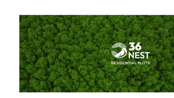 Featured image of 36 Nest