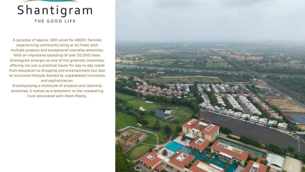 Featured image of Amora