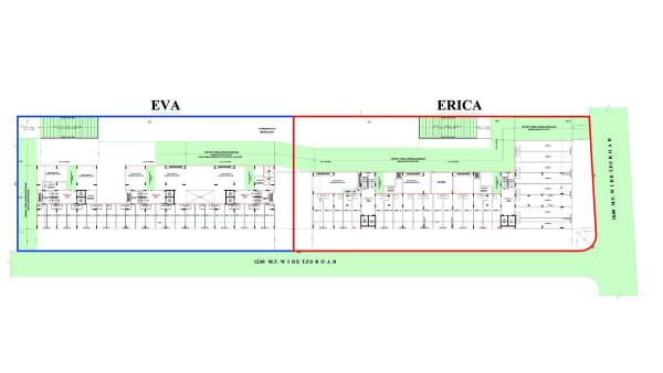 Featured image of Erica