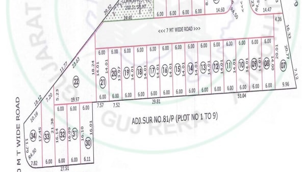 Featured image of Silver Bliss