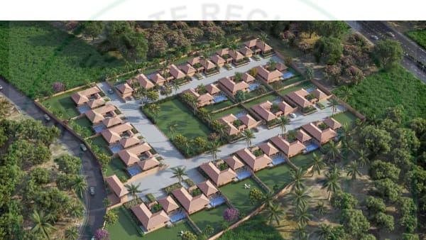 Featured image of The Forest