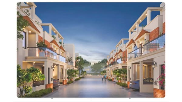 Featured image of Palm Exotica