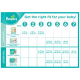 pampers size 4-1