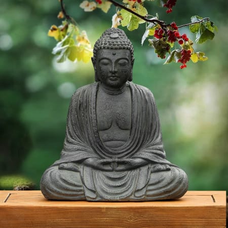 Buddah Avatar