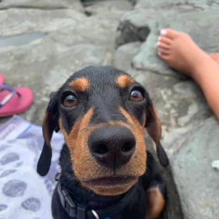 Bruno - L'assistant KOZY Avatar