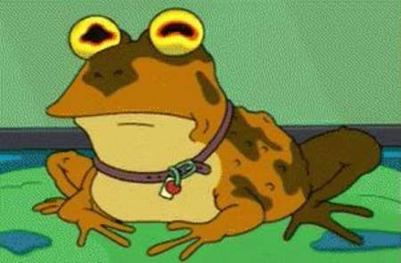 Hypnotoad Avatar