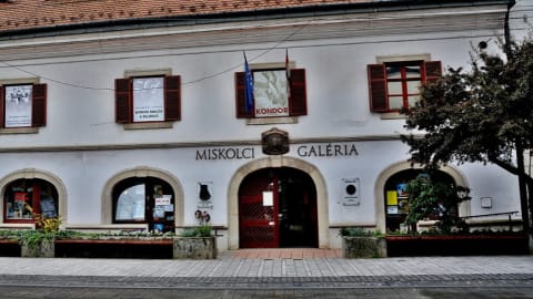 Hatvankét művész alkotásai a Miskolci Téli Tárlaton
