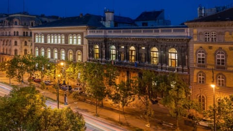 Székely Bertalan lovának csontvázát is megnézhetjük a Múzeumok Éjszakáján