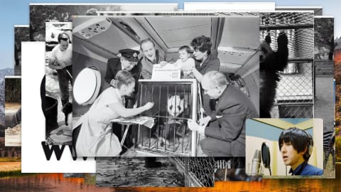 Krasznahorkai László új regénye, a jövő sztárjai a Müpában, Tajvan múltja és jelene a Ludwigban és felolvasó színház a Merlinben