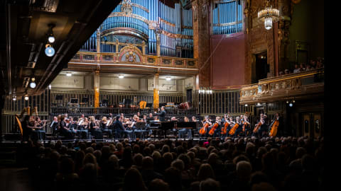 Ösztönös fotográfia, képzőművészeti monológok a zsebünkben és ünnepi dallamok