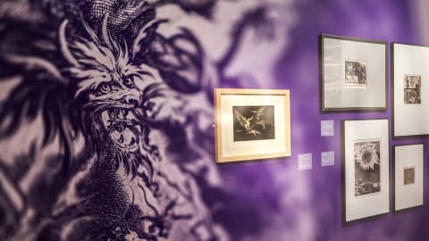 Nyomozás a virtuális világban, Beethoven ünnepi miséje, dizájn és képzőművészet kapcsolata és európai grafika