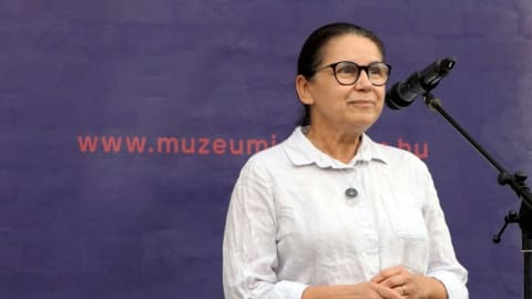 A kísérletezés szabadsága