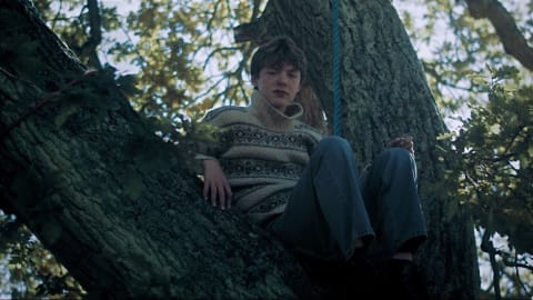 Skandináv Filmfesztivál