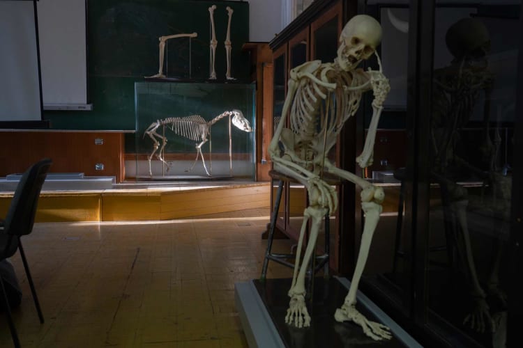 Az Anatómia Tanszék (forrás: MKE)