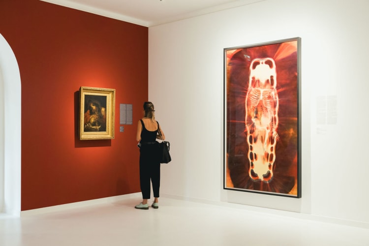 A létezés ereje című kiállítás, enteriőrfotó (forrás: a HAB Facebook-oldala)