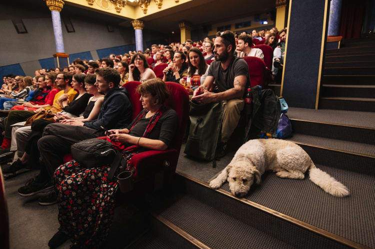 Forrás: Friss Hús Budapest Nemzetközi Rövidfilmfesztivál