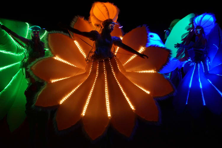 Az Oakleaf: Explorer/Flower Power előadása