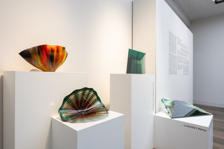 Részlet a kiállításból (forrás: Nemes Galéria)