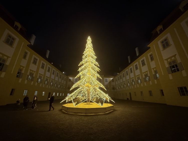 Forrás: Schneider Erika