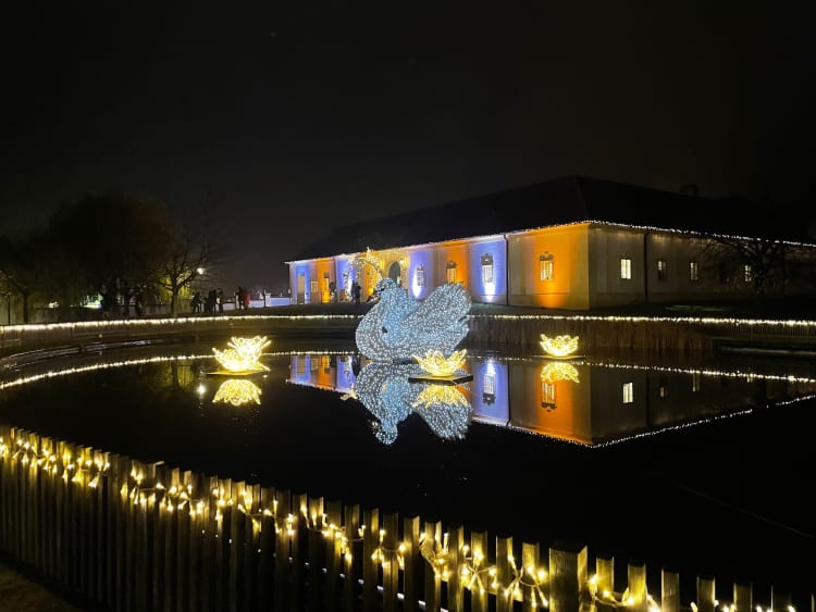 Fény-hattyúk a kastély bejáratánál (forrás: Schneider Erika)