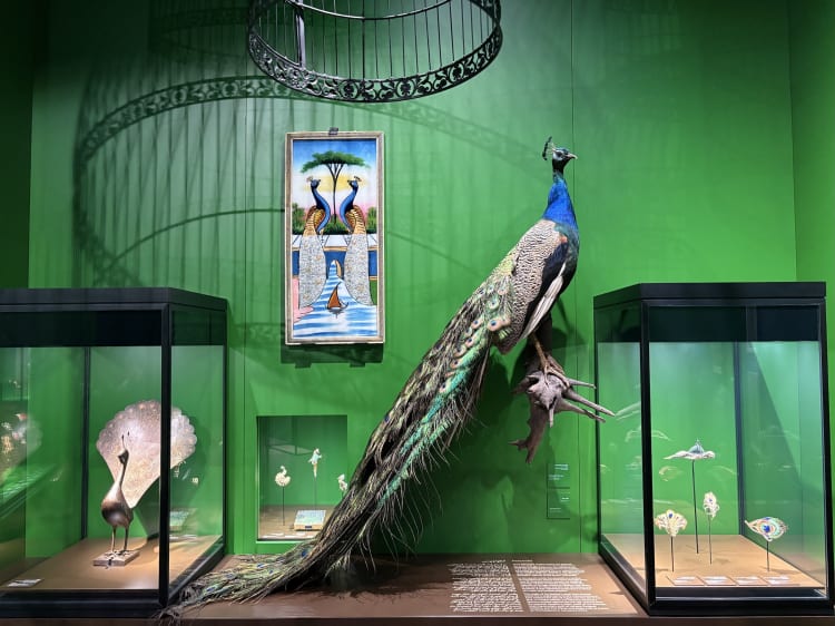 Részlet a kiállításból 