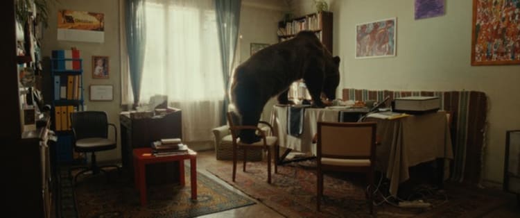 Jelenet Konrád Zsuzsanna Valami vad című filmjéből. A munka a magyar versenyprogramban szerepel (forrás: Friss Hús)