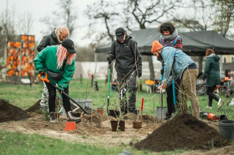 Fát ültetnek a Park munkatársai (fotó: Hódossy Attila)