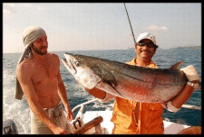 Small1350481138 image006