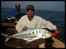 Small1350481682 image002