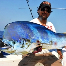 Small1361694005 mahi mahi faraz