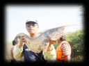 Small1350312775 image304