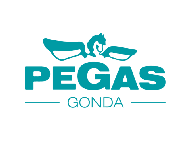Ressurser Pegas-Gonda