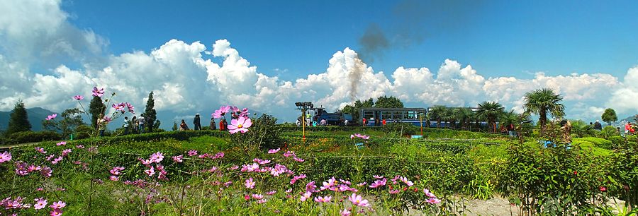 Batasia Loop,Darjeeling Himalayan Railway