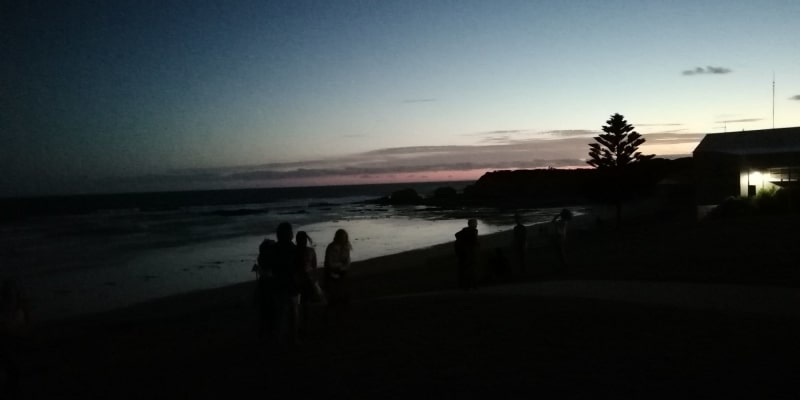 Top 10 Campsites For Fishing Near Jan Juc Vic