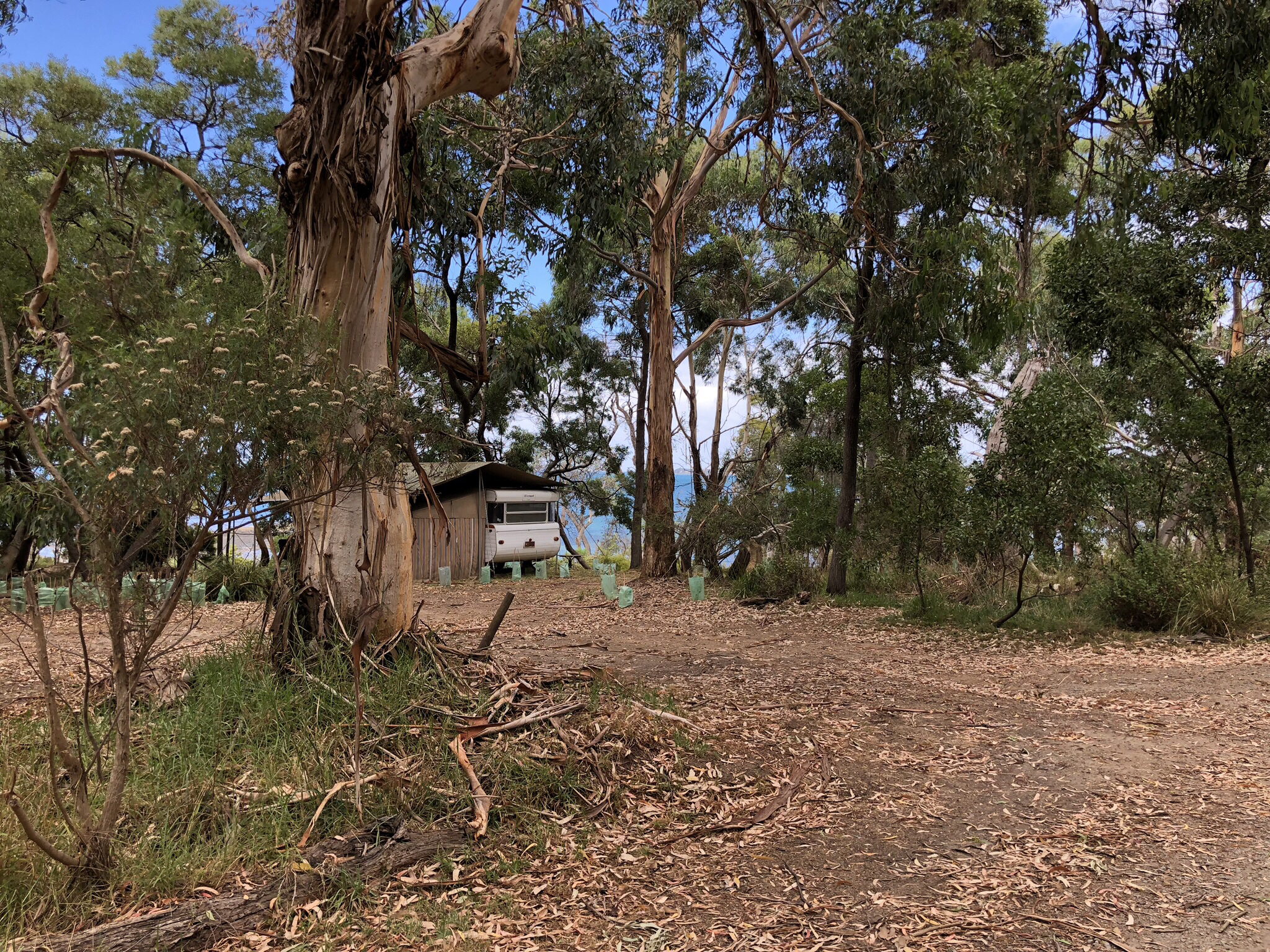 Shoreham Foreshore Camping Grounds Aircamp