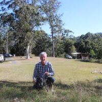 Misty Mountain - Kunghur - Nimbin