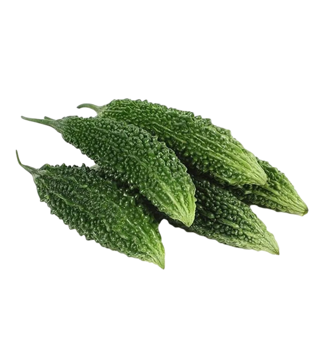 Fresh Karela