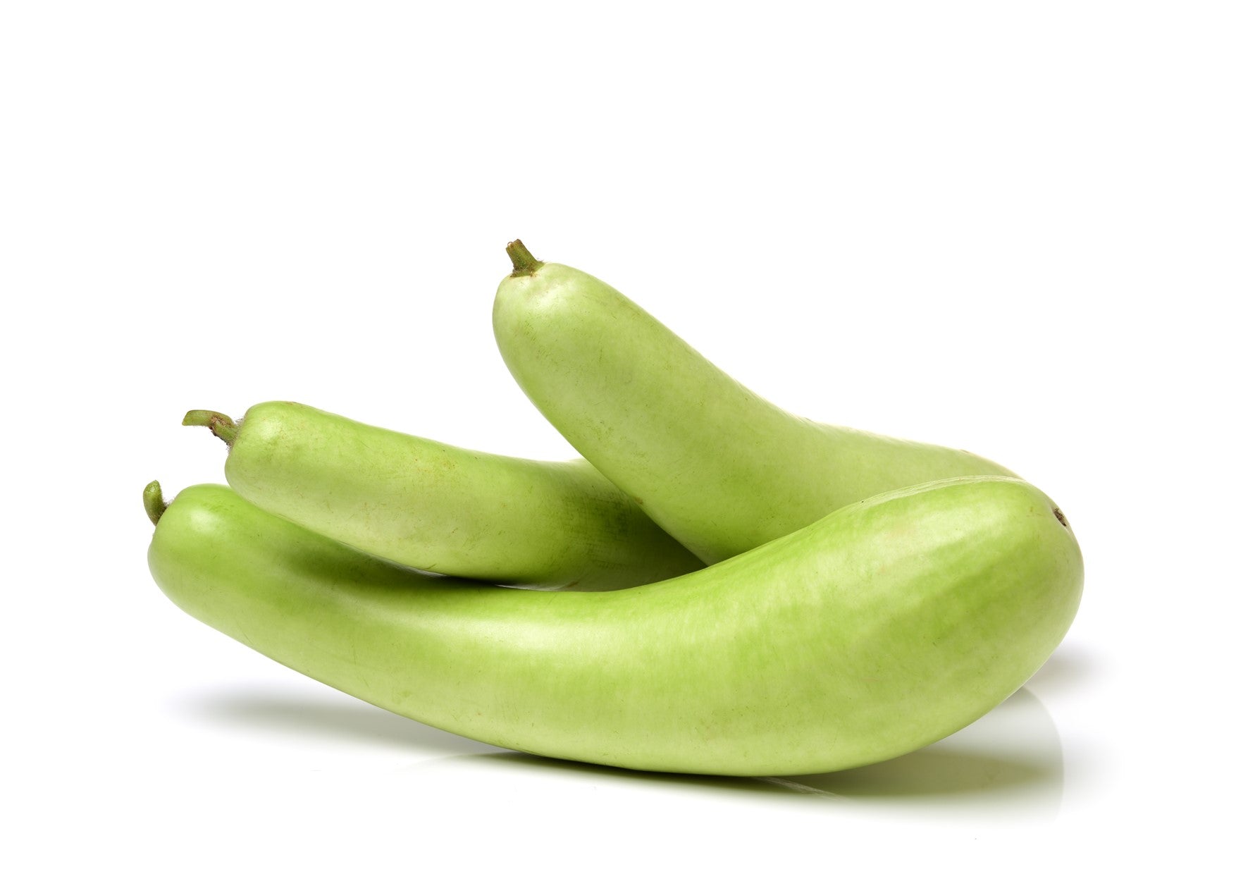 Fresh Long Dudhi (Calabash)