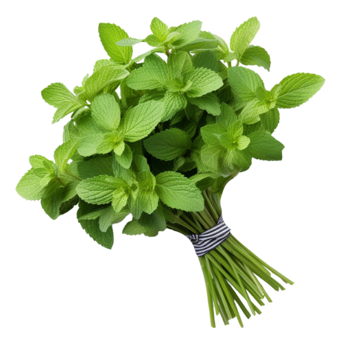 Fresh Mint (Pudina)