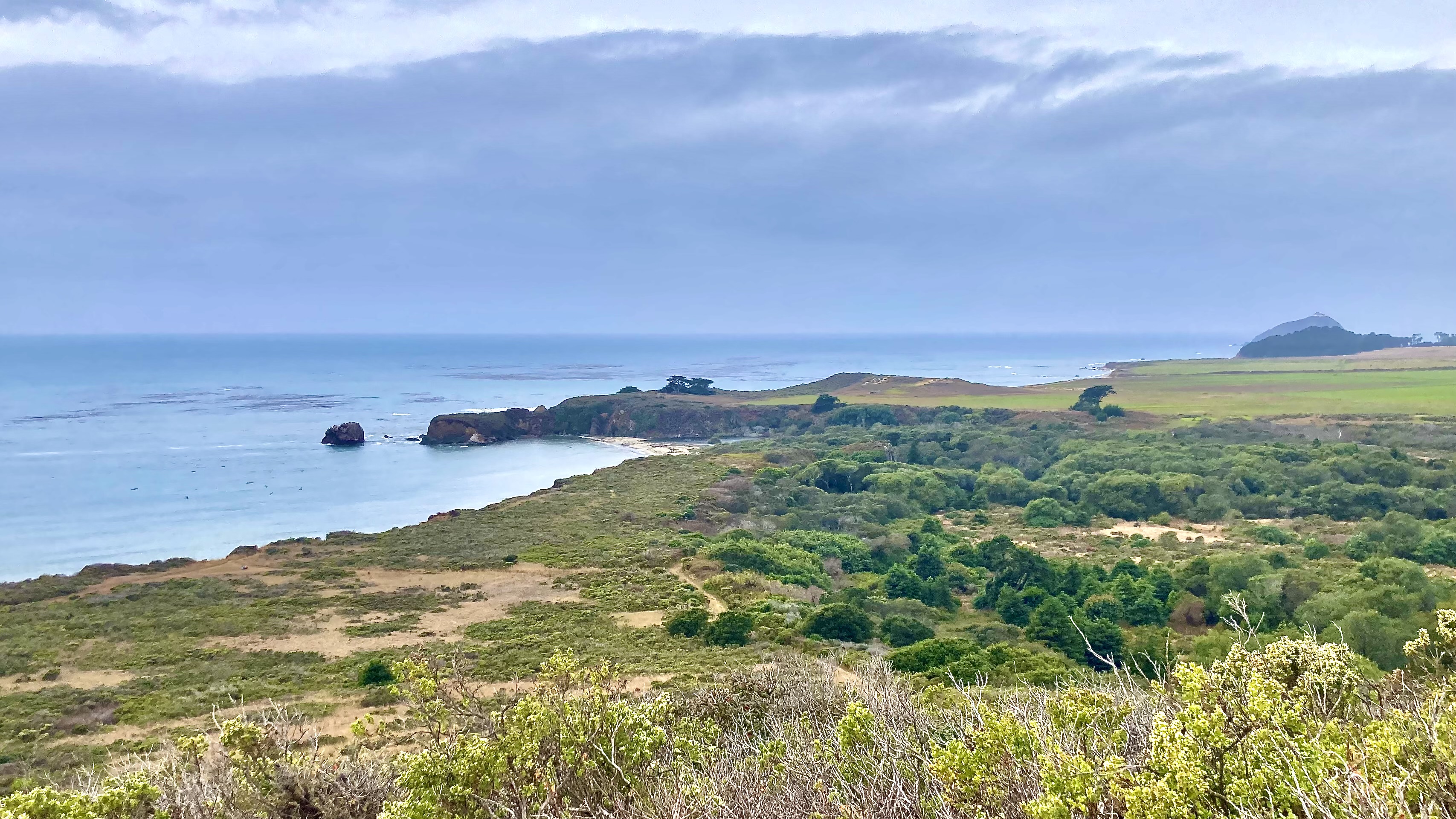 Week 8: The Big Sur Race That Never Was