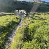 Two Weeks to Sea Otter Classic!