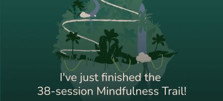 Halfway Through the Meditation Challenge