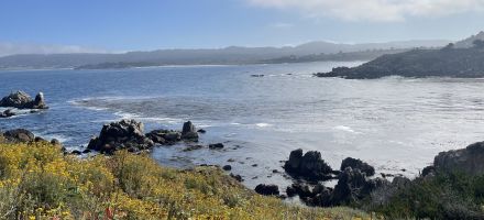 Topping Up: Saturday the 5th