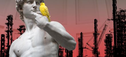 The Plastic Lurking in Your ‘Perfect’ David Protein Bar