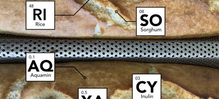 Beyond the Label: A Baker's View of the Science of Processed Food