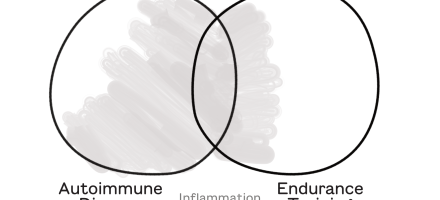 Inflammation Demystified: Where Endurance Training and Autoimmunity Meet