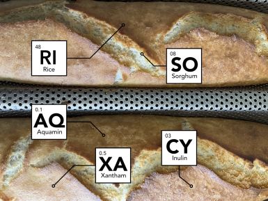 Beyond the Label: A Baker's View of the Science of Processed Food